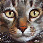 tabby cat head