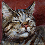 Contented Tabby