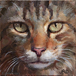 orange kitty